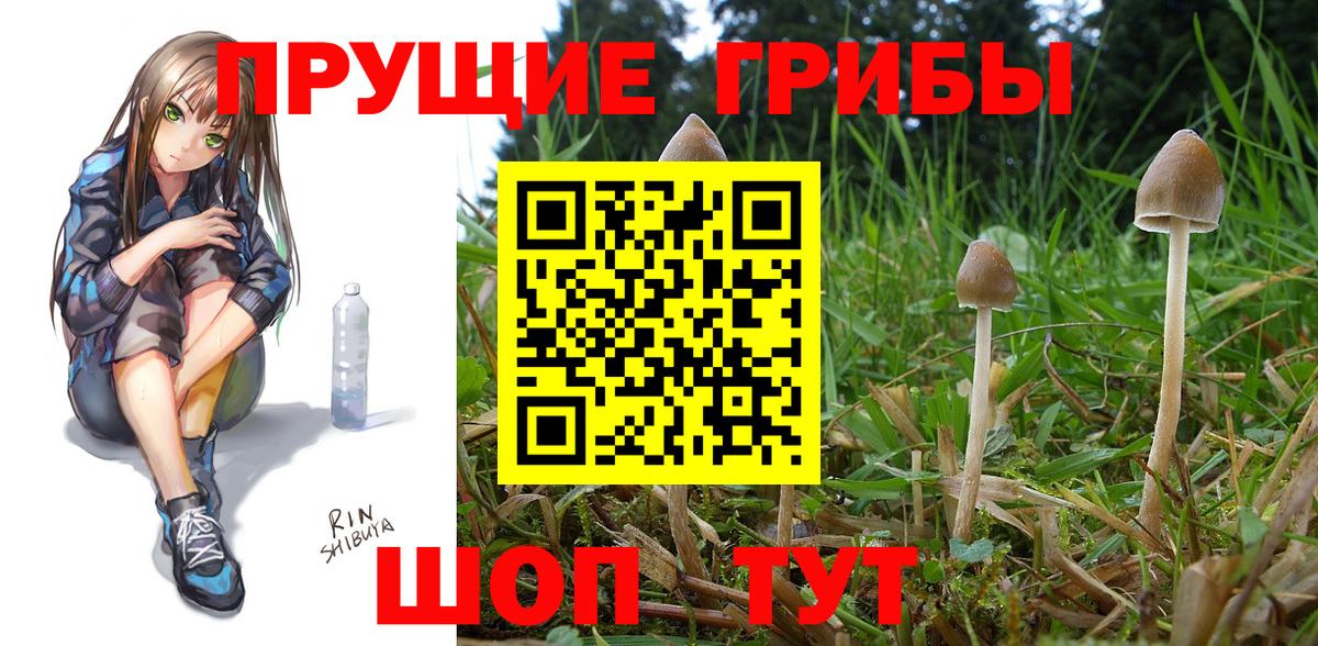 Псилоцибиновые грибы ЛСД Комсомольск-на-Амуре